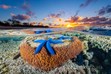 Great barrier reef pictures, sunrise