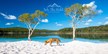 Fraser Island, Lake McKenzie