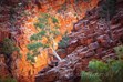 Australian Landscape Photography, Ormiston Gorge