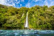 Thunder Creek Falls, New Zealand Waterfalls Photography