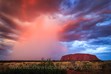 Sunset Landscape Photography Uluru