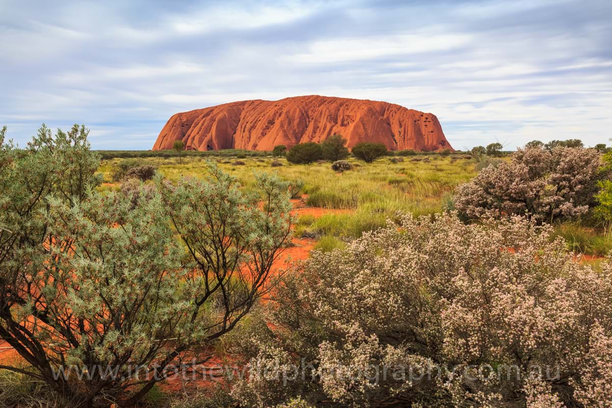 Nature Photography Uluru, Ayer's Rock