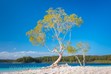Photographer Fraser Island, Lake McKenzie