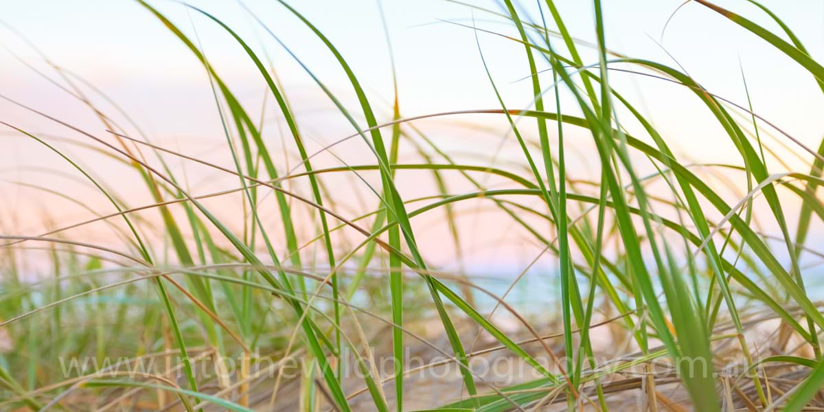 Fraser Island Photography, seascapes
