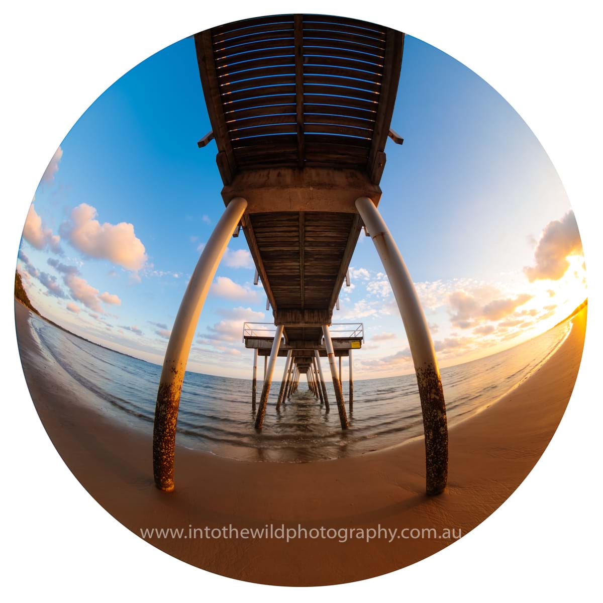 Hervey bay photographers