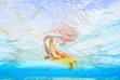 Underwater photos, Green Sea Turtles