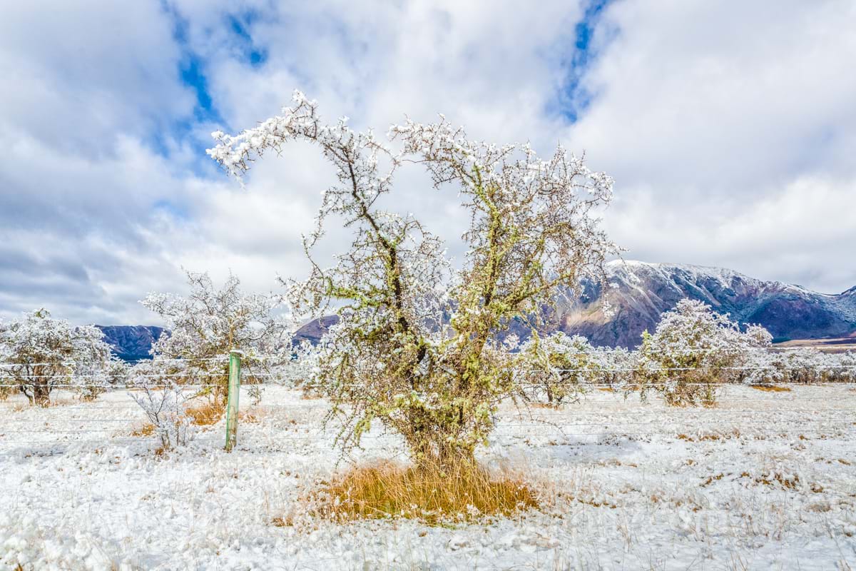 New Zealand Landscape Photography