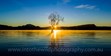 The Wanaka Tree, New Zealand Sunrise Photography