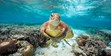 Funny Turtle Photos, Lady Elliot Island