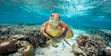 Funny Turtle Photos, Lady Elliot Island