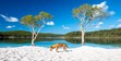 fraser island photos, dingo lake mckenzie, nature photography tours