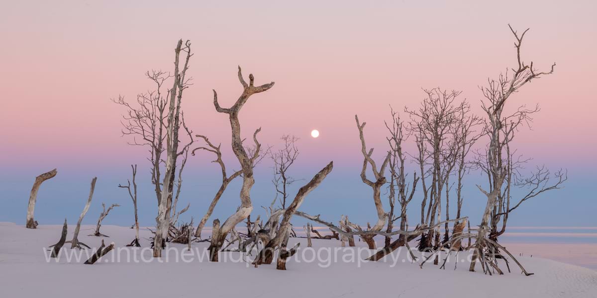 Twilight at Wathumba, Kgari (Fraser) Island