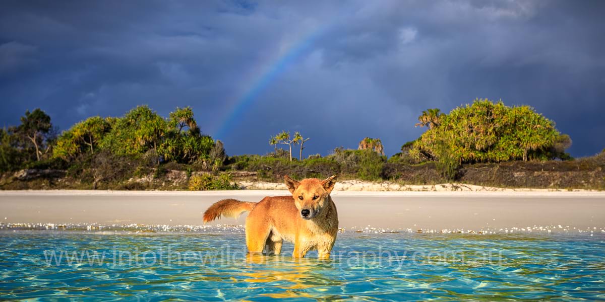 ITWP_24-39 Wongari Storm