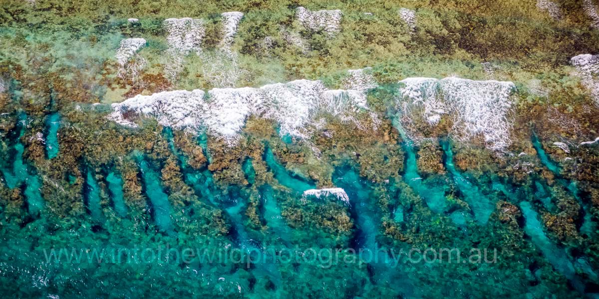 ITWP_24-6 Lady Elliot Island